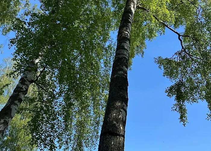 Baltyckie Zacisze * Kopalino